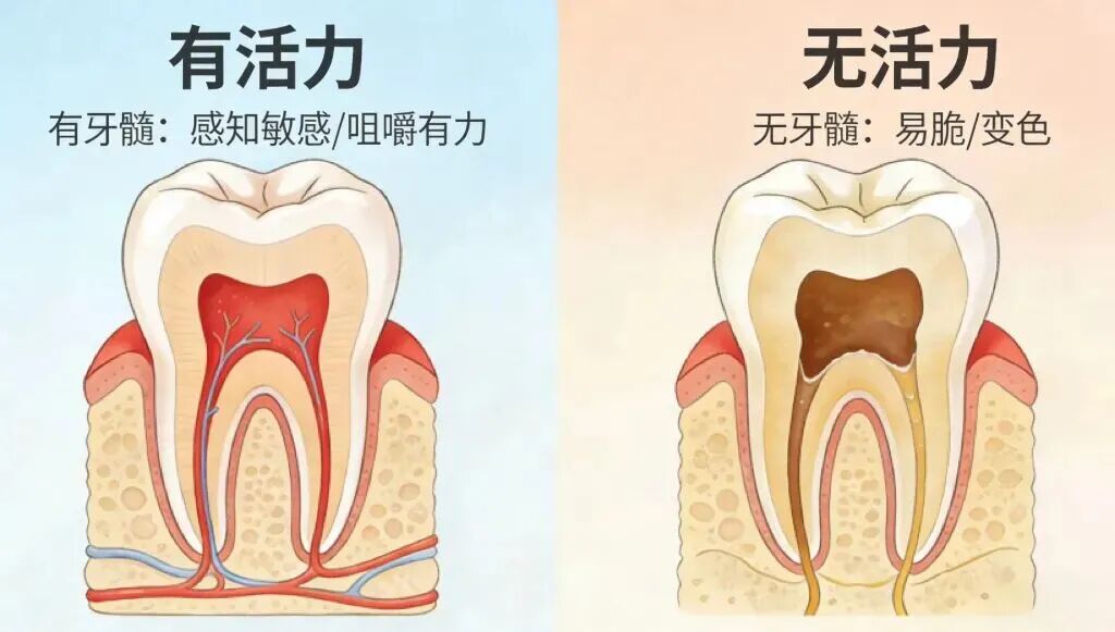 微信图片_2026-08-28_155115_196.jpg
